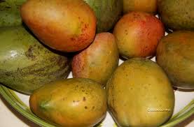 Jamaican East Indian Mango| Bursting With Taste & Nutrients!