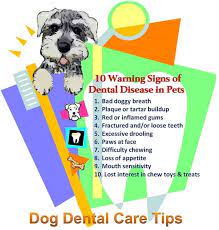 Pin On Canine Health