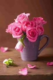 We did not find results for: Beautiful Things In 2021 Love Rose Flower Beautiful Rose Flowers Rose Flower Wallpaper