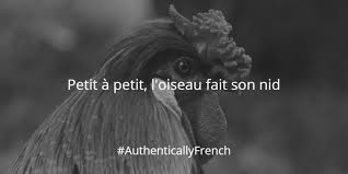 12 French Phrases Quotes Proverbs French Quotes French Phrases Proverbs