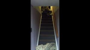 Kid Flying Down Stairs Youtube
