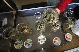 American Pot 5 Best Weed Strains Of 2017 Rolling Stone