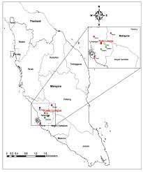 The tuber yields of the accessions evaluated on the two soil types are discussed. Prevalence And Zoonotic Potential Of Canine Hookworms In Malaysia Parasites Vectors Full Text