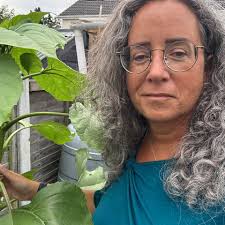 Ireland itinerary suggestions for July road trip