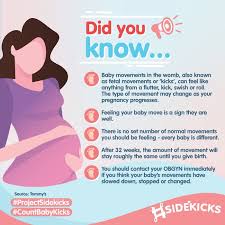 Image result for Fetal Movement Count
