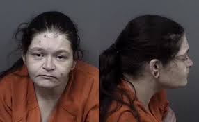 Citrus County mugshots from Nov. 14 and 15