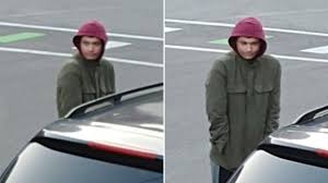 Timmothy Pitzen imposter's brother: He's a terrible person