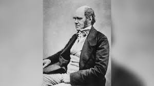 Darwin's theory of evolution by natural selection represents a giant leap in human understanding. Darwin S Theory Of Evolution Definition Evidence Live Science