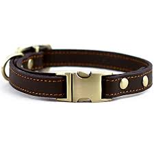 Check out our best leather dog collars and give your dog some style. The 25 Best Leather Dog Collars Of 2021 Pet Life Today