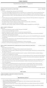 Designing and implementing an overall risk management process for the organisation, which includes an analysis of the financial impact on the company when risks occur. Retail Credit Resume Sample Mintresume