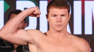The original language and culture of the canelo are poorly documented, because the canelo were among the first amazonian indians to embrace christianity. Saul Canelo Alvarez And Artur Beterbiev Targeted By Dmitry Bivol I Am Reborn Boxing News Sky Sports