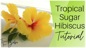 One rule of thumb when preparing edible flowers is to remove the pistil and stamen before eating the flower. Hibiscus Gumpaste Flower Tutorial How To Make Gumpaste Hibiscus Step By Step Youtube