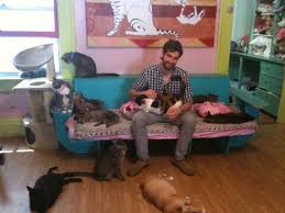 We did not find results for: Animalkind 16 Reviews Animal Shelters 721 Warren St Hudson Ny United States Phone Number