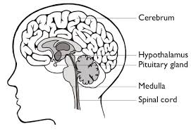 Check spelling or type a new query. Gcse Insert Subject