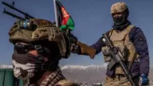 Read latest news today on sports, business. Afghanistan Airstrikes Kill 21 Terrorists 20 Killed In Traffic Mishaps Taliban Attack Kills Civilians Times Of India