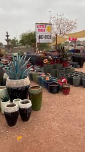 Still Trying To Find That Perfect Gift Little Baja Garden Design