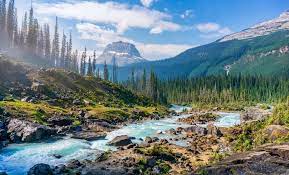 You will have to manually move your saved worlds into the new modpack folder. Wilderness Pictures Download Free Images On Unsplash