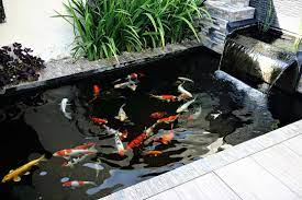Tengok yuk, inspirasi gambar kolam renang yang bagus untuk rumah mungilmu. 10 Ide Desain Kolam Ikan Minimalis Di Rumah Bukareview