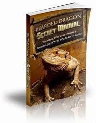 You Reed Book Bearded Dragon Secret Manual Beardeddragondiy Bearded Dragon Care Baby Bearded Dragon Bearded Dragon