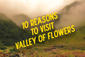 Valley of flowers uttarakhand best time to visit. 10 Reasons For Valley Of Flowers Trek Why Visit Valley Of Flowers