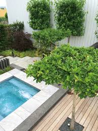 Der Minipool C Side Foto Riviera Pool Mini Pool Garten Aussenpool