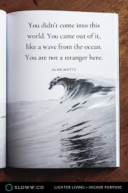 It Is Not Length Of Life But Depth Of Life Meaning In Hindi Alan Watts Quote Alan Watts Quotes Alan Watts Ocean Quotes