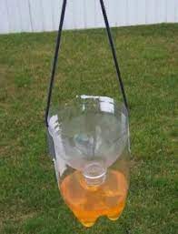 This helps prevent wasps climbing out of the traps and speeds up their death. How To Make A Yellow Jacket Trap Diy Beekeeping