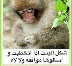 desertrose يقولون السكوت علامة الرضا ههههههههه funny jokes jokes funny
