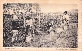 We did not find results for: Romania PitoreascÄ In Ilustratele Unui Soldat German Din Primul RÄzboi Mondial PoveÈti SÄseÈti