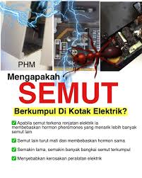 Maybe you would like to learn more about one of these? Public Health Malaysia Memang Hairan Melihat Semut Bersarang Dalam Kotak Suis Elektrik Apa Yang Menyebabkan Begitu Banyak Semut Berkumpul Di Sana Sehingga Menyebabkan Peralatan Rosak Rupa Rupanya Semut Memang Tertarik Pada