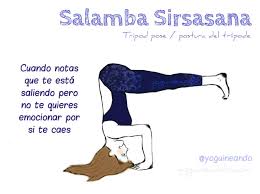 Pin En Yoguineando Humor Y Yoga