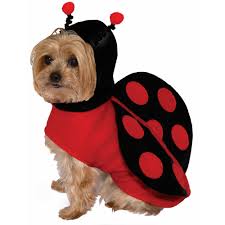 Lady Bug Pet Costume Pet Costumes Dog Costume Dog Costumes