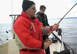Made for you and your friends. Funny Fishing Gifs 73 Pieces Of Animated Pictures About Fishing