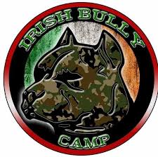 Read our american bully buying advice page for information on this dog breed. Rbk Rohan Xl American Bully Kennel Home Facebook