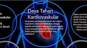 Catatan masa dikira sebagai tahap keupayaan kecergasan kardiovaskular. Daya Tahan Kardiovaskular By Fara Rosdi On Prezi Next