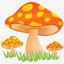 Bukan sahaja keju boleh ditambah kepada pengisian, tetapi juga cendawan atau sayur. Gambar Cendawan Kecil Cendawan Cendawan Kartun Tanaman Png Dan Clipart Untuk Muat Turun Percuma