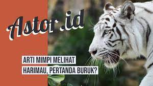 Maybe you would like to learn more about one of these? Arti Mimpi Melihat Harimau Apakah Pertanda Buruk