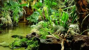 Akvaterrarium Iz 30m3 Terrarium Aquarium Terrarium For Sale