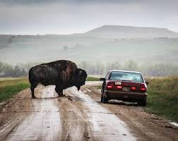 Is your network connection unstable or browser. C Est Cadeau On Twitter Alors Vous Prenez La Deuxieme A Gauche Puis C Est Tout Droit Pendant 500 M Et Tout De Suite A Droite Merci Beaucoup C Est Vous Bison Fute