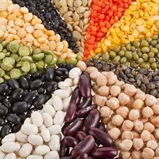 7 High Protein Indian Vegetarian Foods Here you get 40 top protein rich foods list available in india.