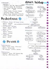 Pupils handle actual plants or are shown pictures of plants. Akar Serabut In English