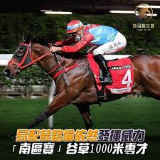香港赛马新闻 hongkong horse racing news in 2021 football helmets racing news horses
