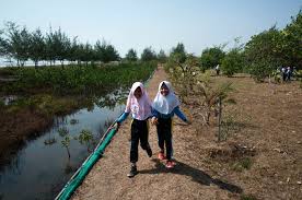 Hutan terbesar di dunia kedua adalah hutan atalntic mencakup paraguay, brazil dan argentina. Menjaga Kelestarian Hutan Bakau Di Pesisir Indramayu Sedari Dini Semua Halaman National Geographic
