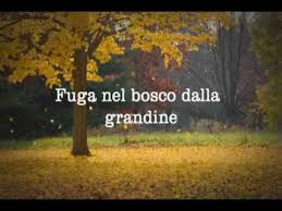 5,129 likes · 57 talking about this · 81 were here. Video Meteo Grandine Parma Ilmeteo It