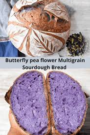 Kneading dough develops a network of gluten strands that trap air and produce. Butterfly Pea Flower Multigrain Sourdough Bread Zesty South Indian Kitchen