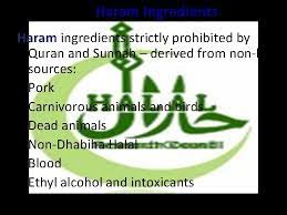 Halal Production Requirements For Food Industry Dr Javaid