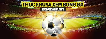 Kết quả trận đấu truc tiep bong da hom nay sẽ được thông báo bằng âm hiệu riêng trong trường hợp bạn không có thời gian theo dõi. Thá»©c Khuya Xem Bong Ä'a Home Facebook