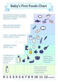 Detailed Information On Baby Food Infographic Babys First