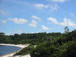 O que fazer em rio grande do norte: Lagoa Araraquara Coca Cola Lake Mapio Net