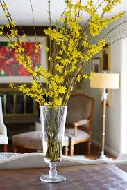 Prune Forsythia While Budding But Before Blooming And Force Bloom Indoors Large Flower Arrangements Forsythia Bush Forsythia